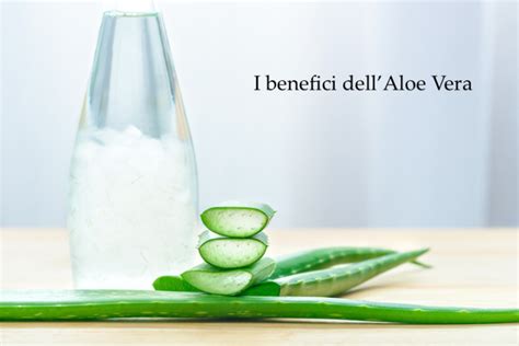 Benefici Dell Aloe Vera Per Il Nostro Corpo Archzine It