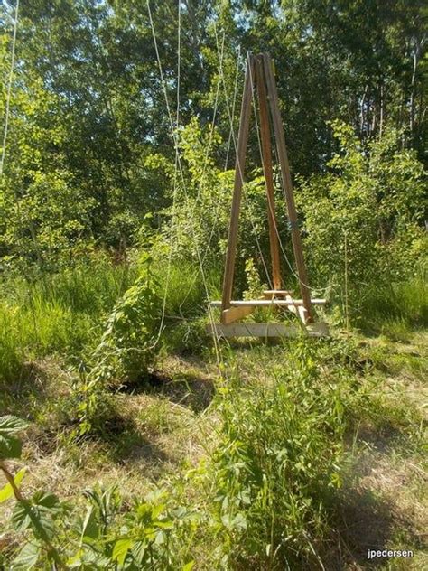 BEER, a Trellis for Hops, a Support for Growing Them in Your Backyard ...