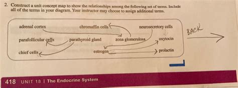 Solved 2 Construct A Unit Concept Map To Show The Chegg