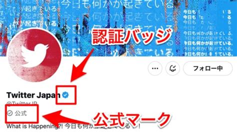 Twitter『公式マーク』と『認証バッジ 青 』の違いや意味は？ みんなのsns