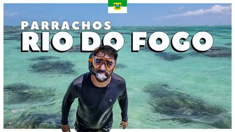 COMO SÃO OS PARRACHOS DO RIO DO FOGO Bate e volta de Natal RN YouTube