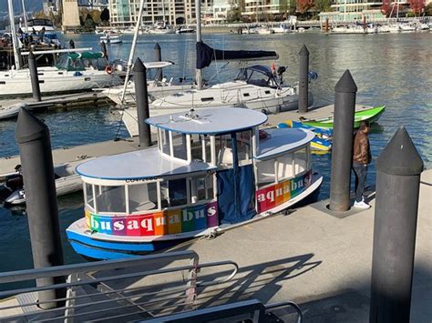 The Aquabus Vancouver Updated 2020 All You Need To Know Before You