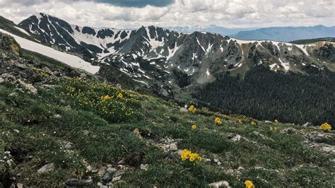 Byers Peak Wilderness | National Wilderness Area near Fraser, CO