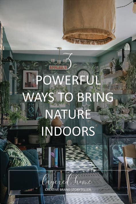 ways to canary sick indoors 4