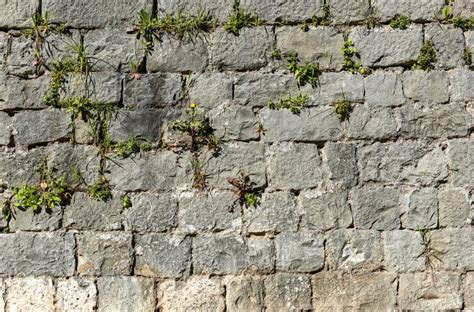 Old Stone Castle Wall Made Of Stone Brick Slabs Stock Photo Image Of