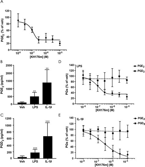 KH176m Selectively And Dose Dependently Inhibits PGE2 Induced By