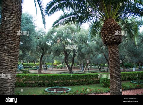 Israel, Haifa,architecture, photo Baha'i Gardens Stock Photo - Alamy