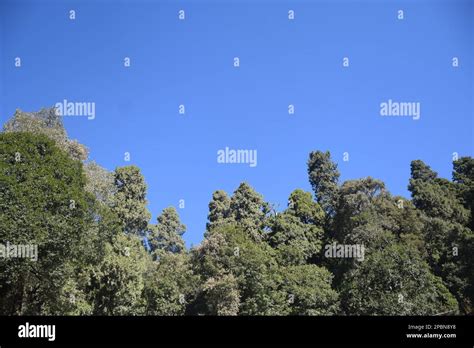 View of naini lake from naina peak ( nainital Stock Photo - Alamy