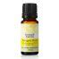 Pineapple Myrtle Essential Oil Essentially Australia