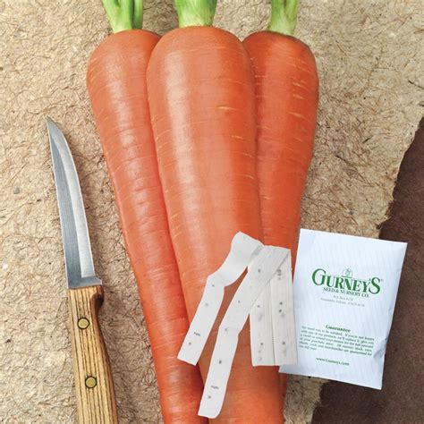 75 Feet Carrot Envy Seed Tapes Edible Garden At