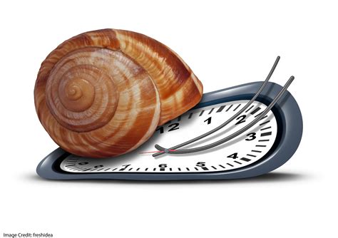 "Wait Just a Minute!": The Benefits of Procrastination? |Education ...