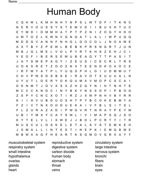 Human Body Word Search Printable