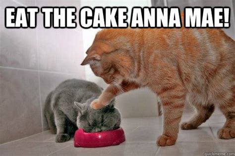 eat the cake anna mae! - eat the cake - quickmeme