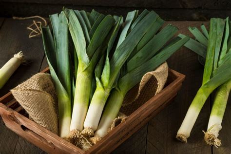 Best Green Onion Substitutes Updated