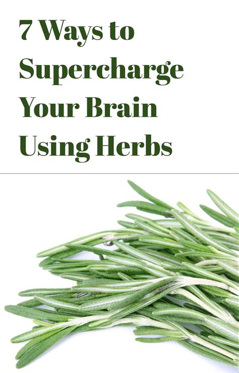 7 Ways To Supercharge Your Brain Using Herbs Dr Andrea Purcell