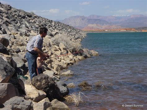 Desert Survivor: Sand Hollow Reservoir