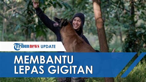 ART Digigit Anjing Hingga Tewas Bima Aryo Sempat Bantu Lepaskan