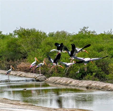 Marine National Park Explore Jamnagar Gujarat