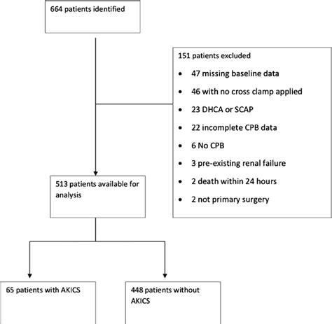 STROBE Flow Chart DHCA Deep Hypothermic Circulatory Arrest SCAP