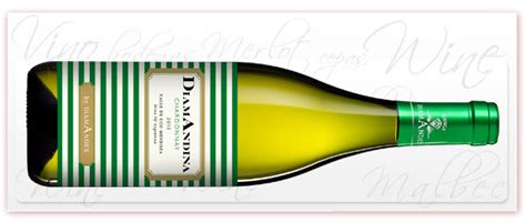 DiamAndina Chardonnay - Mundo Vino