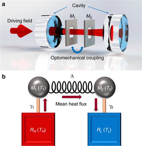 Heat Transport Between Two Optomechanically Coupled Nanomechanical