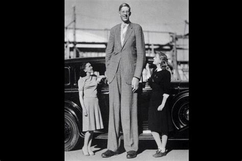 Él Es La Persona Más Alta De La Historia Robert Wadlow Mejor Conocido