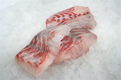 Barramundi Fillets Morgans Online Seafood Store