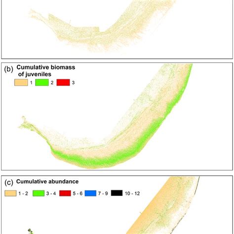 Hotspots Map For Cumulative Biomass Of Large Sexually Mature Adults