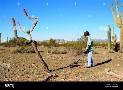 boy   metal detector treasure hunting stock photo alamy
