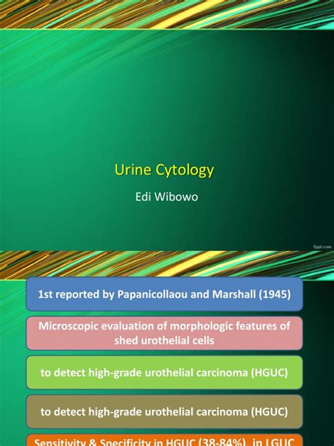 Urine Cytology | PDF | Cytopathology | Urinary System