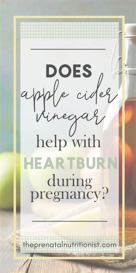 Apple Cider Vinegar Best Way To Lower Heartburn In Pregnancy