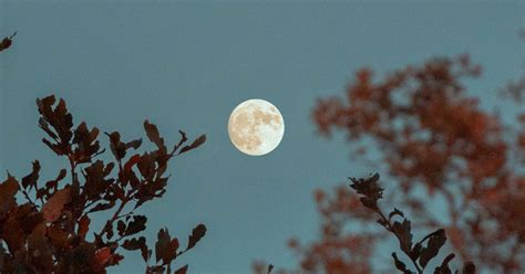 Pleine Lune En Capricorne Du Juin Ce Que A Signifie Pour Toi