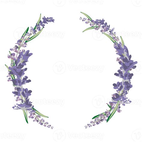 Lavender Wreath Clipart 11976287 Png