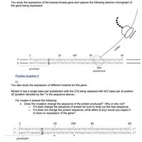 Answered You Study The Expression Of The Hexose Bartleby