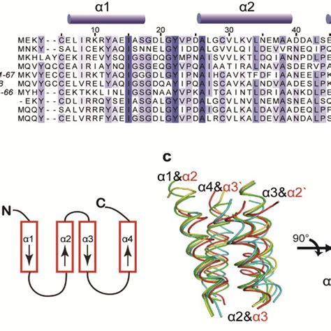 Structural Similarity Between Ta Like Domain Proteins A Multiple