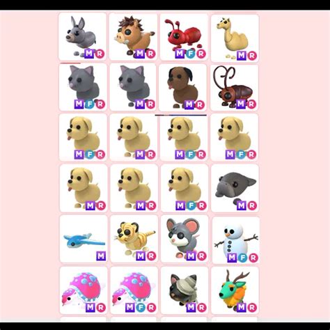 24x MFR Adopt Me Pet Roblox Game Items Gameflip