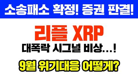 리플 Xrp 긴급 소송 100 패소확정 증권으로 판결날겁니다 대폭락 시그널 비상 9월 위기대응 코인시황