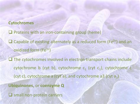 Bacterial Aerobic Respiration Ppt