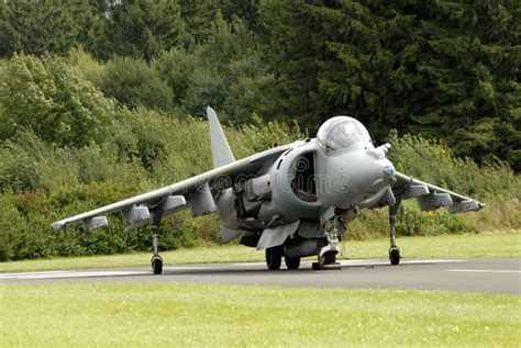 110+ Harrier Free Stock Photos - StockFreeImages