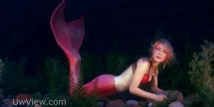 Mermaid BH Porn Videos