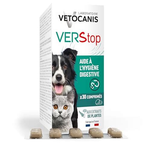 Vermifuge Chat Les Meilleurs Anti Parasites Vers Intestinaux Chat