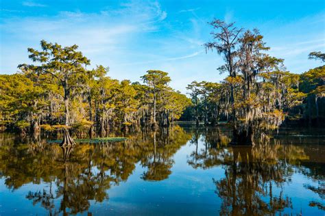 Best Things To Do At Caddo Lake On The Texas Side