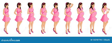 Pregnancy And Birth Infographics, Pregnancy Stages Cartoon Vector | CartoonDealer.com #40648685