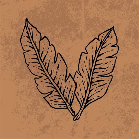 Premium Vector Botanical Leaf Doodle Wildflower Line Art