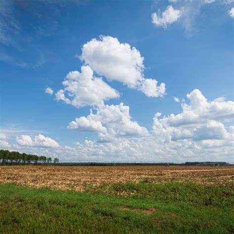 plainview tx official website official website