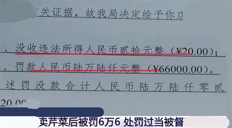 天价罚款！陕西一菜贩卖5斤芹菜被罚66万元，当地类似处罚超20起芹菜罚款处罚新浪新闻