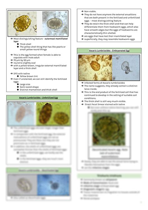 SOLUTION MT110 CLINICAL PARASITOLOGY Intestinal Nematodes COMPLETE