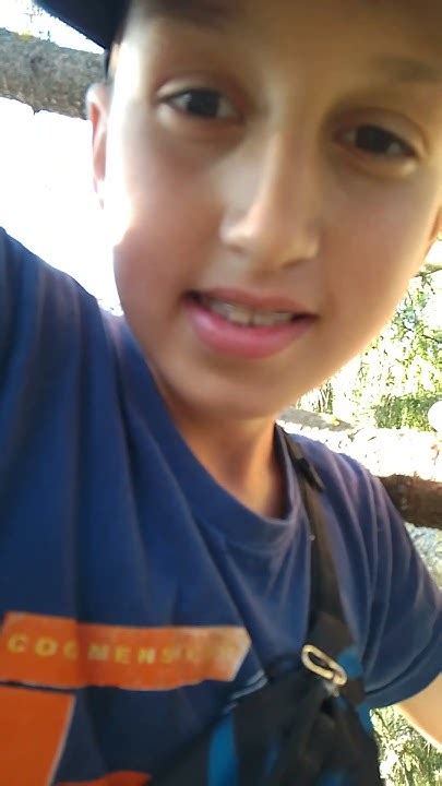 #ёлка #залезлинадерево #скалолазание #экстрим #опасно - YouTube