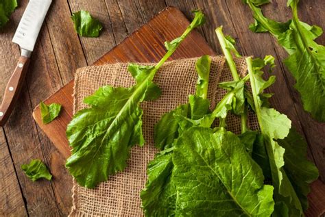 Discover The Health Benefits Of Turnip Greens Health And Detox And Vitamins