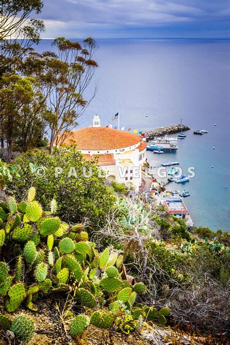 Art Print And Stock Photo Catalina Island Avalon Bay Panoramic Photo